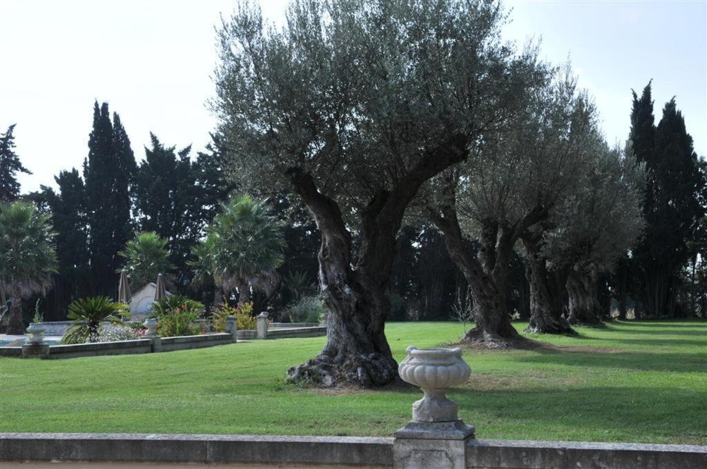 Domaine Du Grand Malherbes Эмарг Экстерьер фото